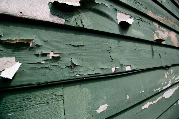  Caddo Mills, TX Junk Removal Pros